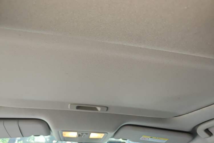 Used Nissan Lannia 2018 1.6L CVT High-Energy Trendy Audio Edition Headliner