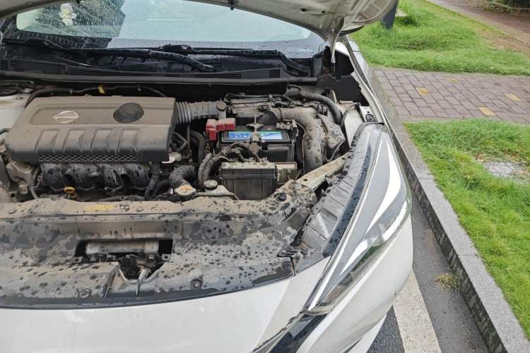 Used Nissan Lannia 2019 1.6L Manual Fashion Edition China V Standard Engine Bay Left