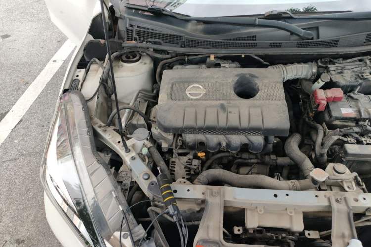 Used Nissan Lannia 2019 1.6L CVT Cool Edition China V Standard Engine Bay Right