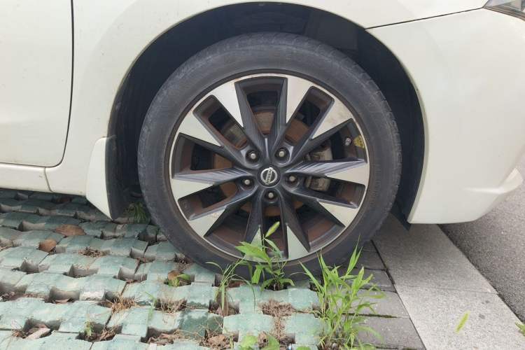 Used Nissan Lannia 2019 1.6L CVT Smart Connect Smart Cool Version China V Standard Exterior 1