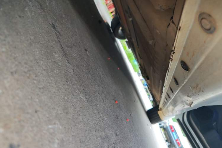 Used Nissan Lannia 2019 1.6L CVT Smart Connect Smart Cool Version China VI Standard Right Side Sill