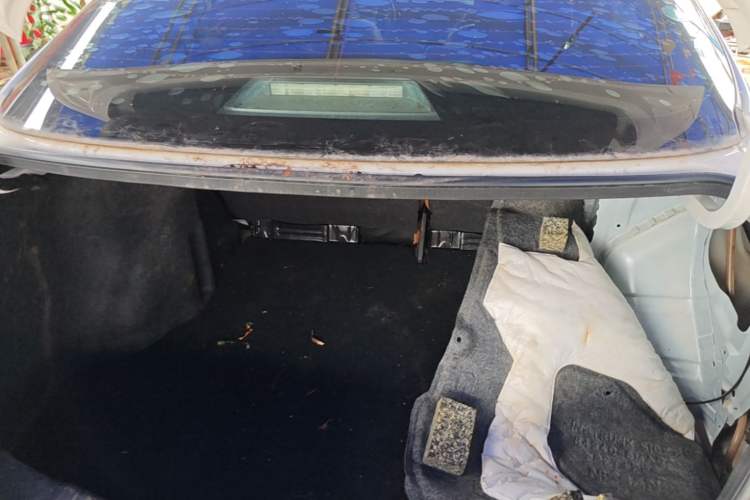 Used Nissan Lannia 2019 1.6L CVT Smart Connect Smart Cool Version China VI Standard Trunk