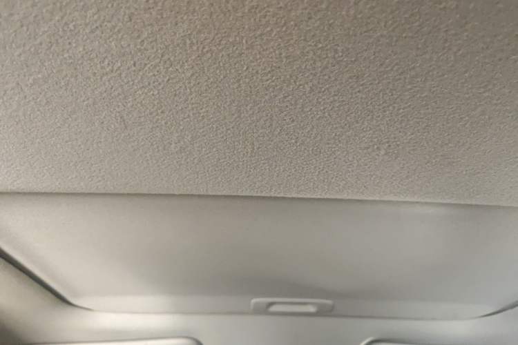 Used Nissan Lannia 2020 1.6L CVT Cool Edition Headliner