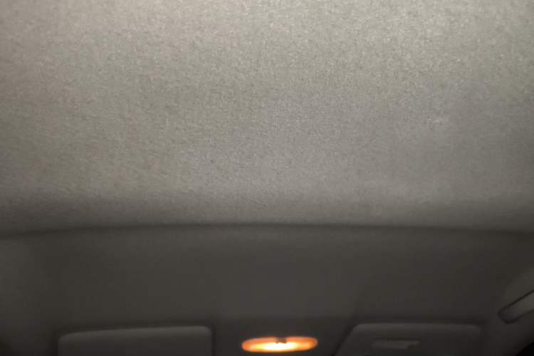 Used Nissan March 2010 1.5L Automatic Easy-Style Version Headliner