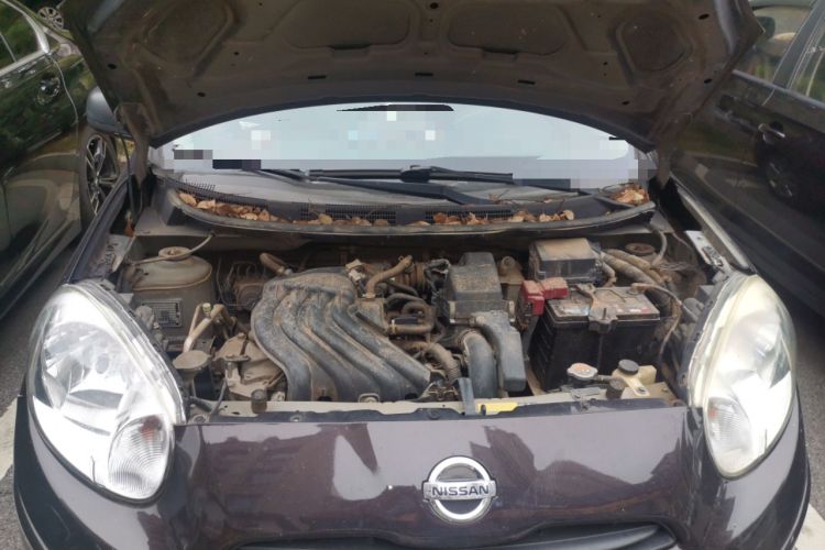 Used Nissan March 2010 1.5L Manual Easi-Style Edition Engine Bay