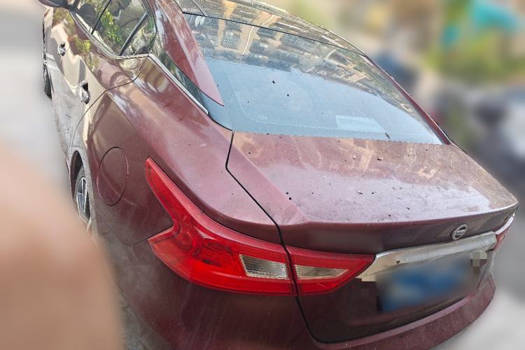 Used Nissan Maxima 2016 2.5L XE Elite Edition Rear