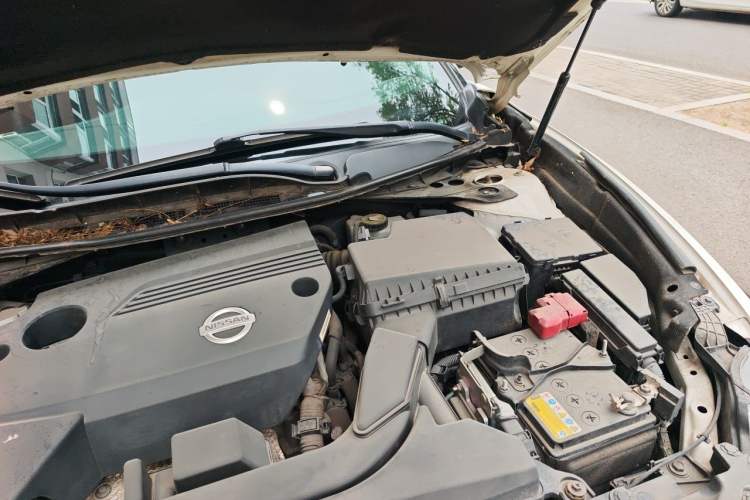 Used Nissan Maxima 2016 2.5L XL Luxury Edition Engine Bay Left