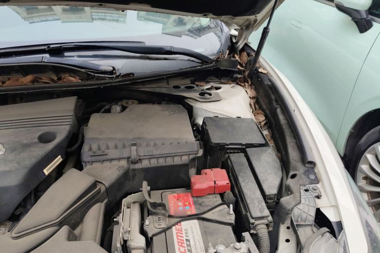 Used Nissan Maxima 2016 2.5L XV Ultimate Edition Engine Bay Left