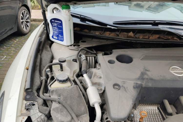 Used Nissan Maxima 2016 2.5L XV Ultimate Edition Engine Bay Right