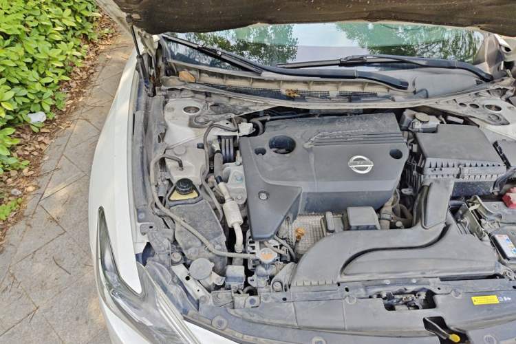 Used Nissan Maxima 2016 2.5L XL Luxury Edition Engine Bay Right