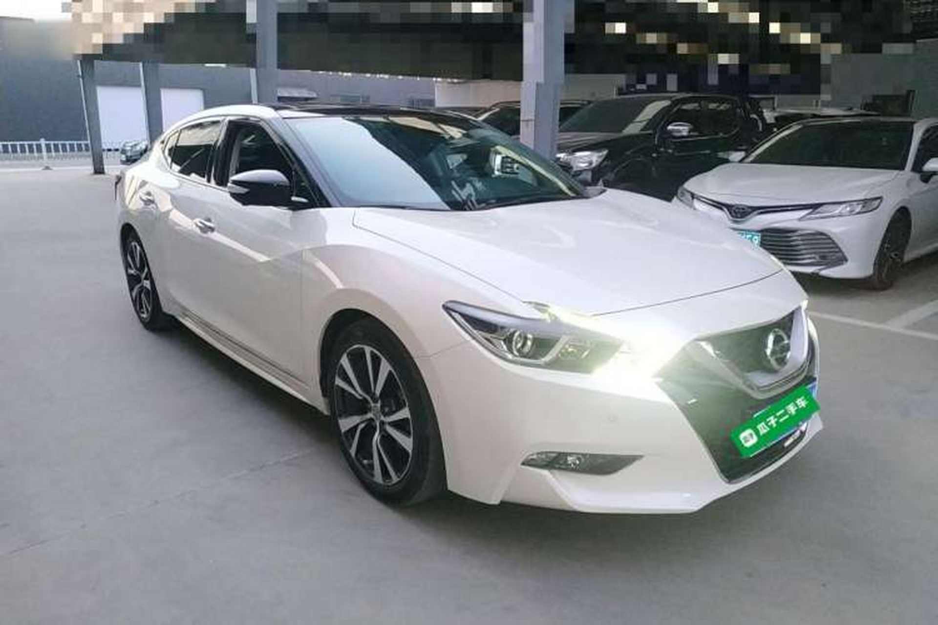 Used Nissan Maxima 2016 2.5L XL Luxury Edition Exterior 2