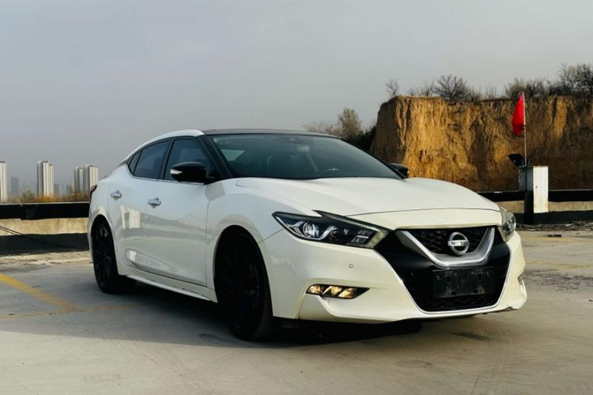 Used Nissan Maxima 2016 2.5L XV Ultimate Edition Exterior 7