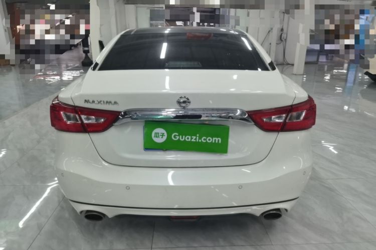 Used Nissan Maxima 2016 2.5L XL Luxury Edition Rear