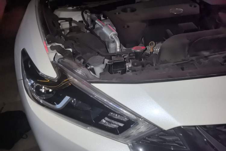 Used Nissan Maxima 2016 2.5L XV Ultimate Edition Right Front Headlight