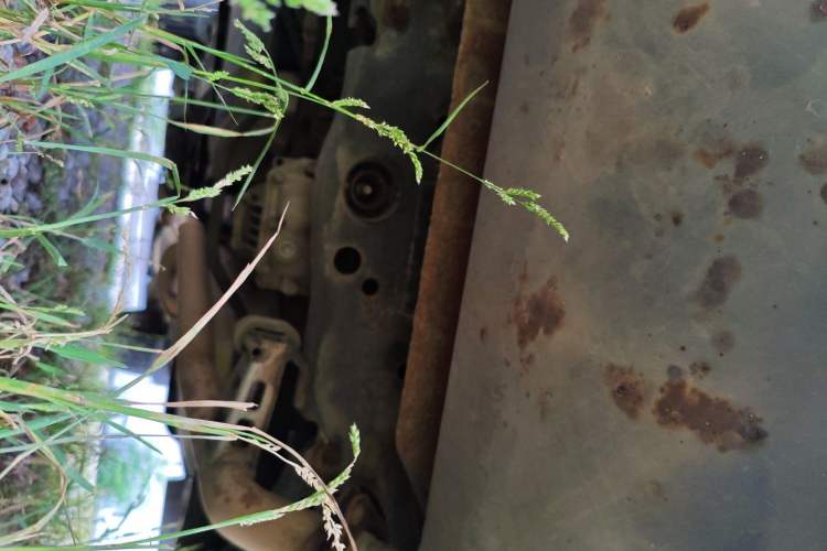 Used Nissan Murano 2011 3.5L CVT Chassis Rear