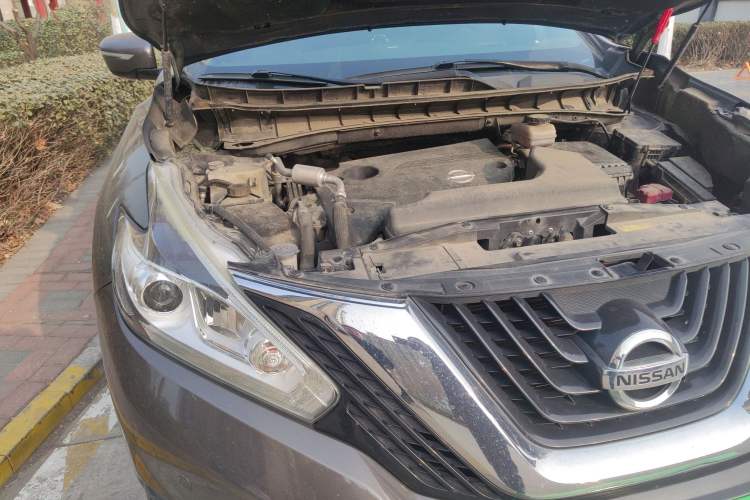 Used Nissan Murano 2015 2.5L XL Two-Wheel Drive Smart Edition Exterior 7