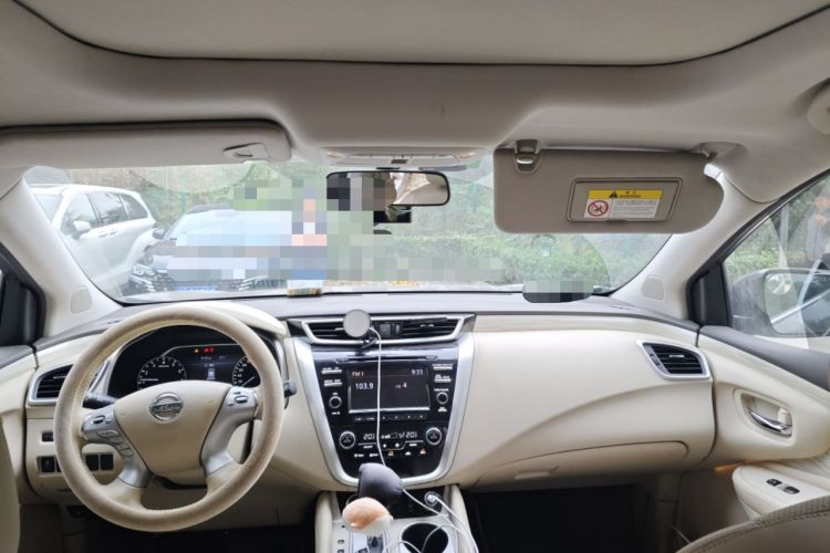 Used Nissan Murano 2015 2.5L XL Two-Wheel Drive Smart Edition Headliner