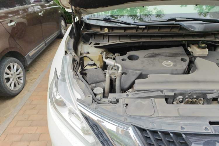 Used Nissan Murano 2015 2.5L XL Two-Wheel Drive Smart Edition Engine Bay Right