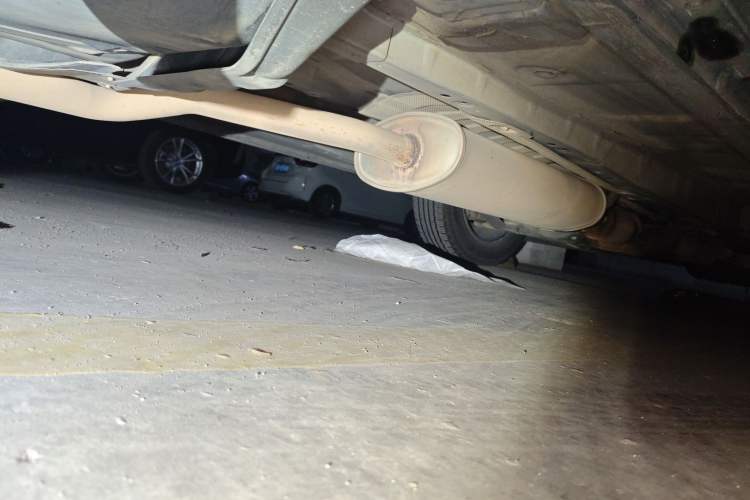 Used Nissan Murano 2017 2.5L XL Two-Wheel Drive Smart Edition Chassis Rear Right