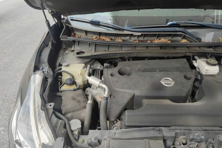 Used Nissan Murano 2017 2.5L XE Two-Wheel Drive Elite Edition Engine Bay Right