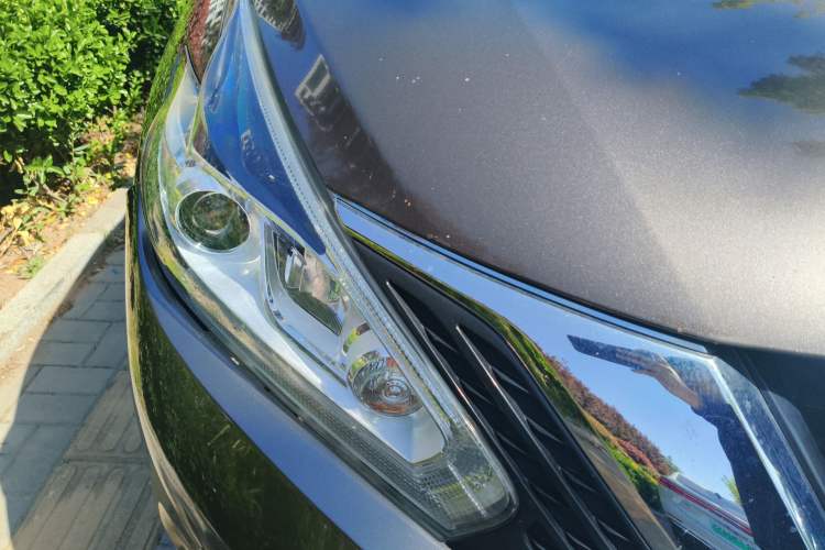 Used Nissan Murano 2017 2.5L XL Two-Wheel Drive Smart Edition Right Front Headlight