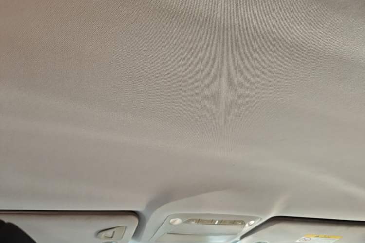 Used Nissan Murano 2017 2.5L XE Two-Wheel Drive Elite Edition Headliner