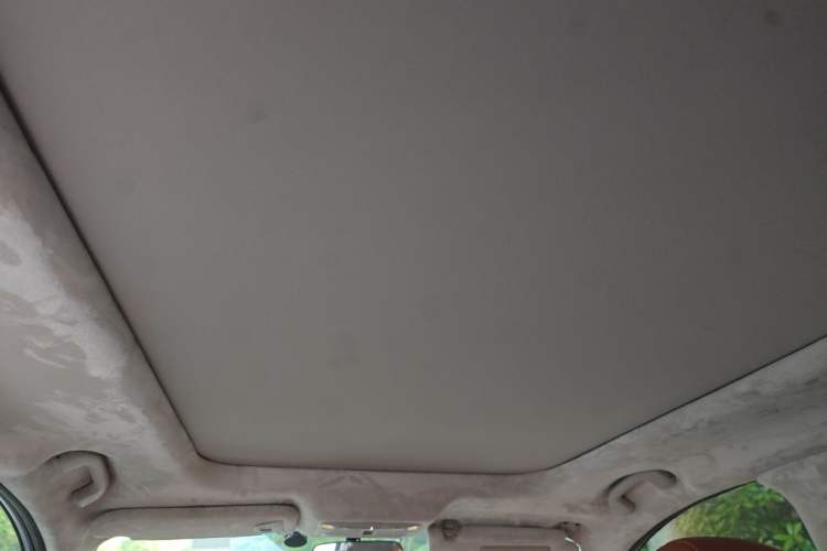 Used Nissan Murano 2017 2.5L XL Two-Wheel Drive Smart Edition Headliner