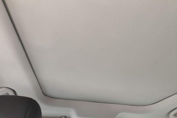 Used Nissan Murano 2017 2.5L XL Two-Wheel Drive Smart Edition Headliner