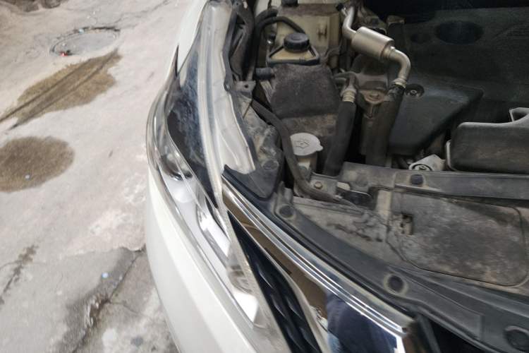 Used Nissan Murano 2017 2.5L XE Two-Wheel Drive Elite Edition Right Front Headlight