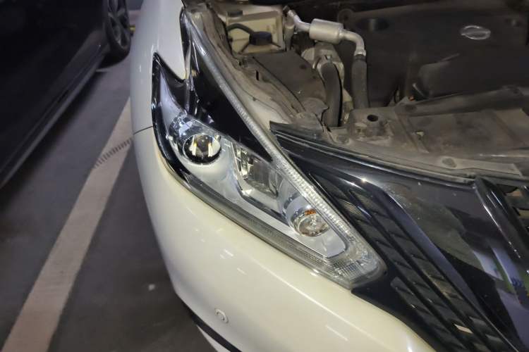 Used Nissan Murano 2017 2.5L XL Two-Wheel Drive Smart Edition Right Front Headlight