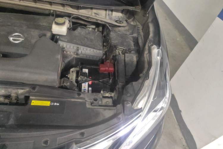 Used Nissan Murano 2019 2.5L XL Two-Wheel Drive Smart Connect Luxury Edition China VI Standard Engine Bay Left