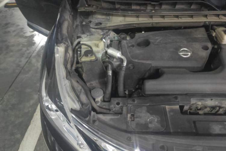 Used Nissan Murano 2019 2.5L XL Two-Wheel Drive Smart Connect Luxury Edition China VI Standard Engine Bay Right