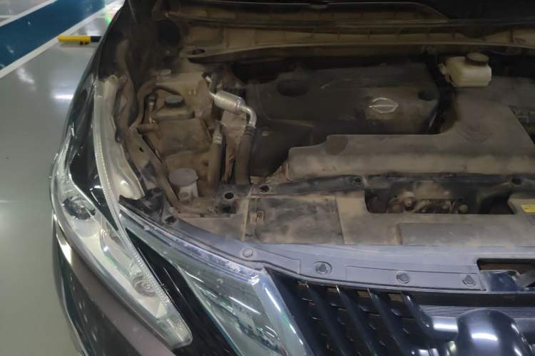 Used Nissan Murano 2019 2.5L XL Two-Wheel Drive Smart Connect Luxury Edition China VI Standard Engine Bay Right