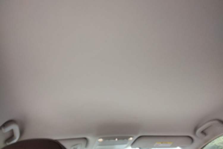 Used Nissan Murano 2019 2.5L XE Two-Wheel Drive Elite Version China VI Standard Headliner