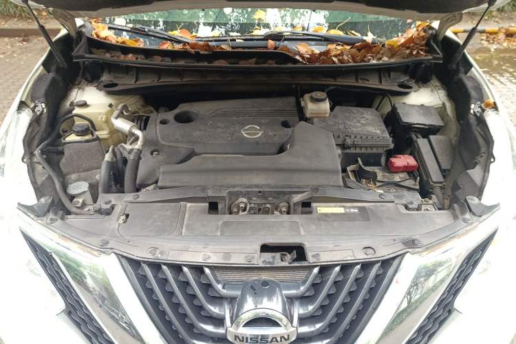 Used Nissan Murano 2019 2.5L XL Two-Wheel Drive Smart Connect Luxury Edition China VI Standard Engine Bay