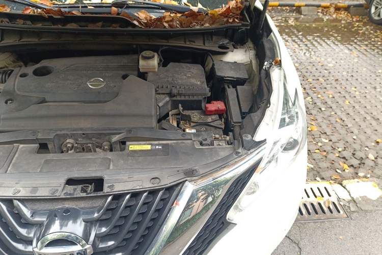 Used Nissan Murano 2019 2.5L XL Two-Wheel Drive Smart Connect Luxury Edition China VI Standard Engine Bay Left