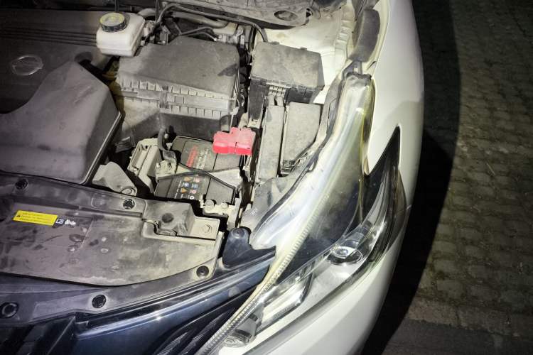 Used Nissan Murano 2019 2.5L XL Two-Wheel Drive Smart Connect Luxury Edition China VI Standard Engine Bay Left