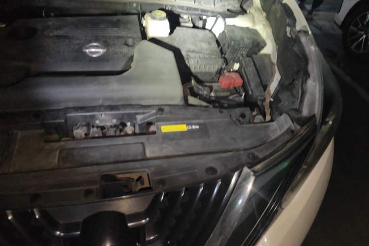 Used Nissan Murano 2019 2.5L XL Two-Wheel Drive Smart Connect Luxury Edition China VI Standard Engine Bay Left