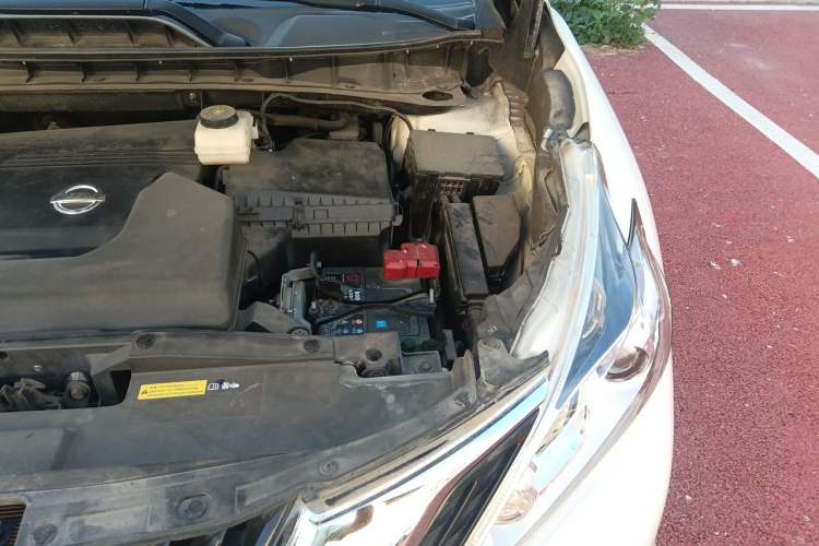 Used Nissan Murano 2019 2.5L XE Two-Wheel Drive Elite Version China VI Standard Engine Bay Left