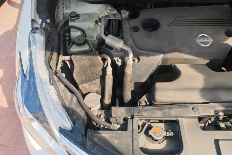 Used Nissan Murano 2019 2.5L XE Two-Wheel Drive Elite Version China V Standard Engine Bay Right