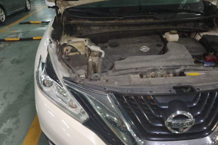 Used Nissan Murano 2019 2.5L XE Two-Wheel Drive Elite Version China VI Standard Engine Bay Right
