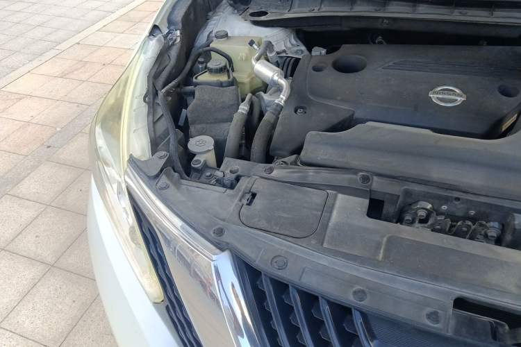 Used Nissan Murano 2019 2.5L XE Two-Wheel Drive Elite Version China VI Standard Engine Bay Right