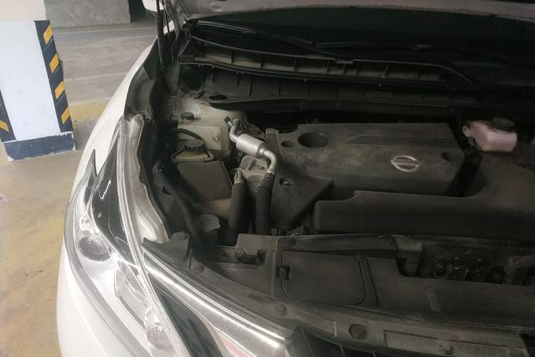 Used Nissan Murano 2019 2.5L XL Two-Wheel Drive SmartConnect Luxury Edition China V Standard Engine Bay Right