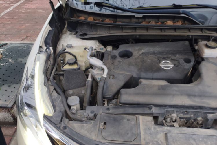 Used Nissan Murano 2019 2.5L XE Two-Wheel Drive Elite Version China VI Standard Engine Bay Right