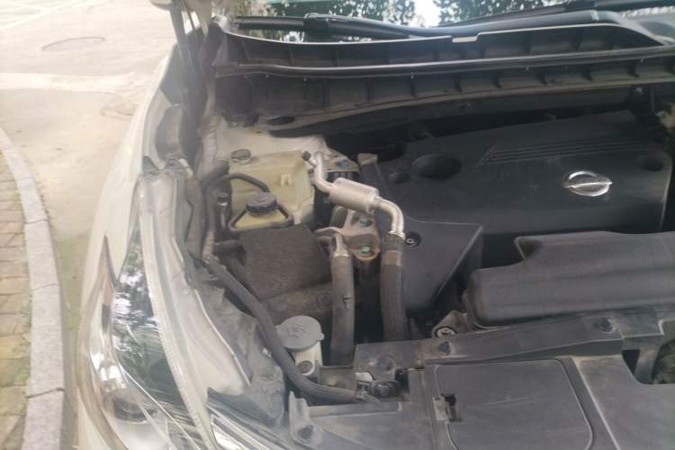 Used Nissan Murano 2019 2.5L XE Two-Wheel Drive Elite Version China VI Standard Engine Bay Right