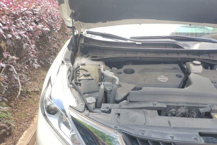 Used Nissan Murano 2019 2.5L XL Two-Wheel Drive Smart Connect Luxury Edition China VI Standard Engine Bay Right
