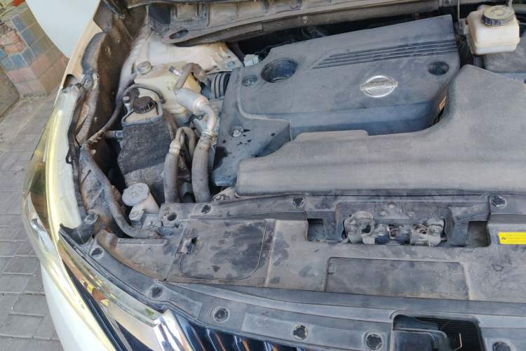 Used Nissan Murano 2019 2.5L XE Two-Wheel Drive Elite Version China VI Standard Engine Bay Right