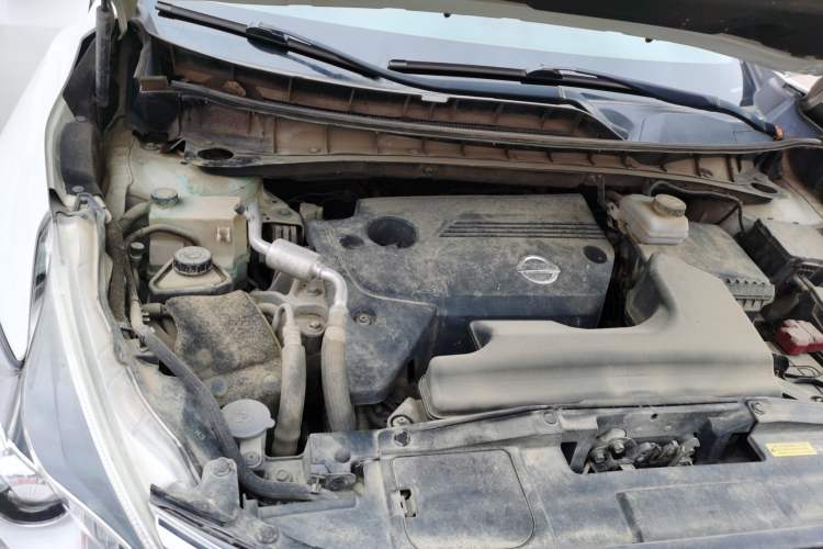 Used Nissan Murano 2019 2.5L XL Two-Wheel Drive Smart Connect Luxury Edition China VI Standard Engine Bay Right