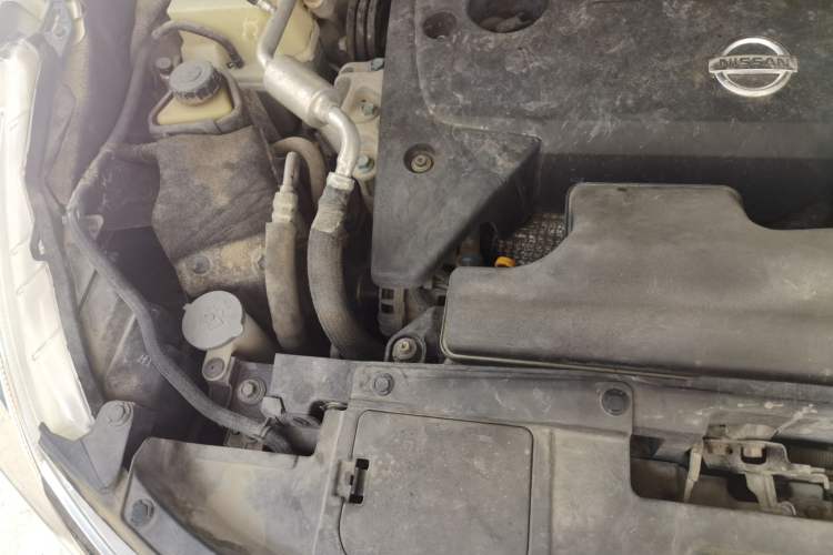 Used Nissan Murano 2019 2.5L XE Two-Wheel Drive Elite Version China VI Standard Engine Bay Right