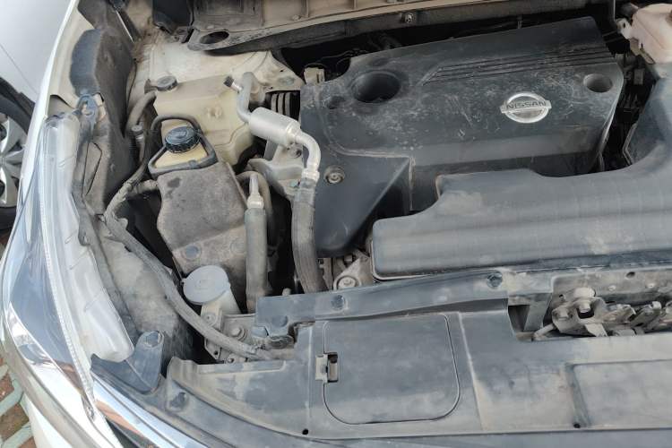 Used Nissan Murano 2019 2.5L XL Two-Wheel Drive SmartConnect Luxury Edition China V Standard Engine Bay Right